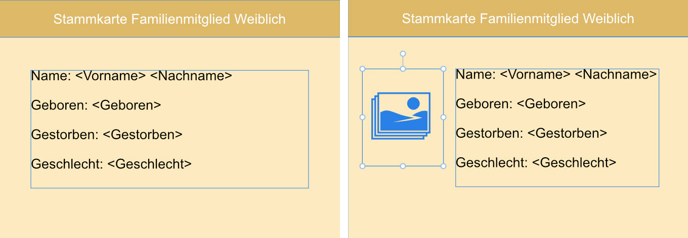 Karteikarte ohne und mit Bild, Datenansicht